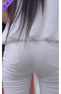 编号463