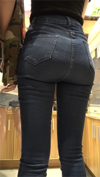 sc333