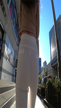 sc313
