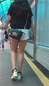 编号2559