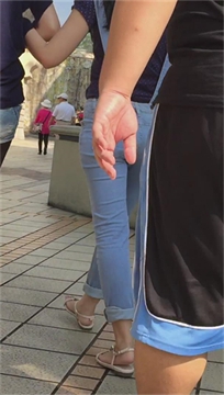 编号2528