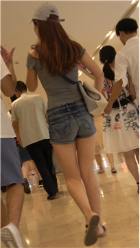 编号3113