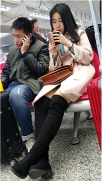 编号2955