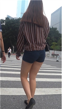 编号3232