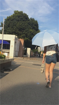 编号2474