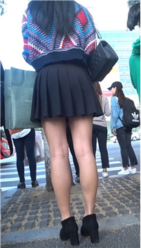 编号3161