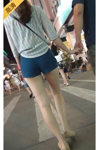 编号445