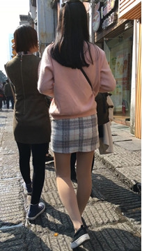 编号2388