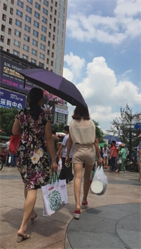 编号3573
