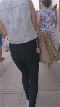 编号2567