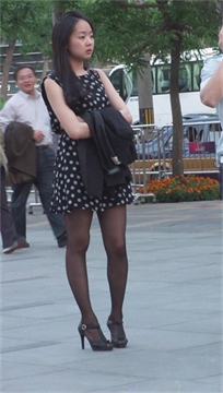 编号6208