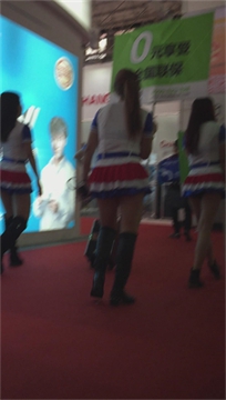 编号2479
