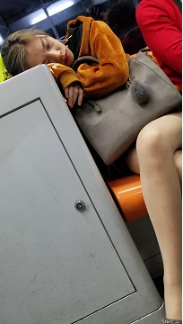 编号4704
