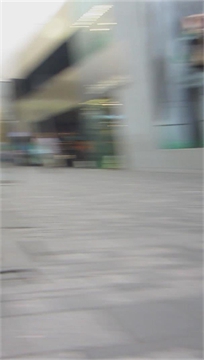 编号2674