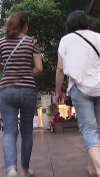 编号2503