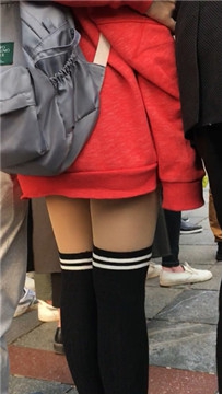 编号1676