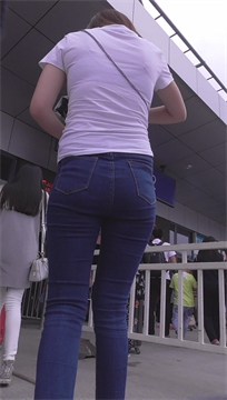 编号3613