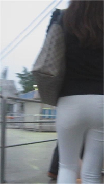 编号1527