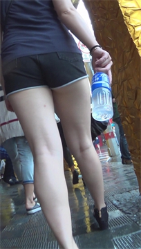 编号3550