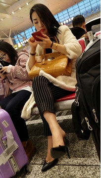编号3040