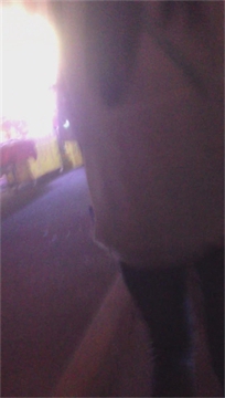 编号3362