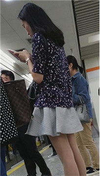 编号3313