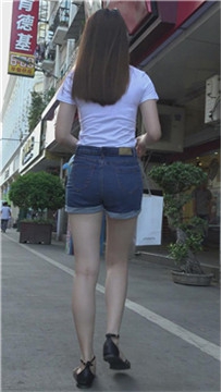编号4615