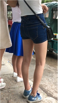 编号4493