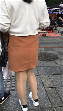 编号2146