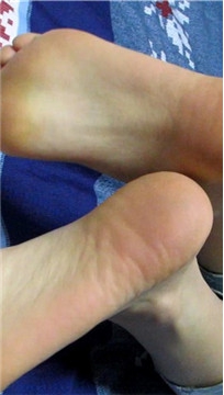 编号6443