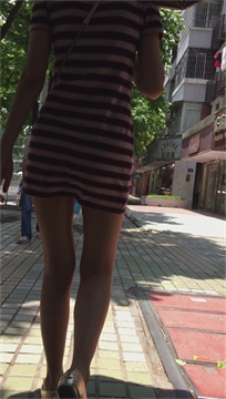 编号2596