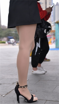 编号254