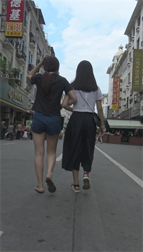 编号3563