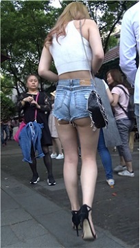 编号7635