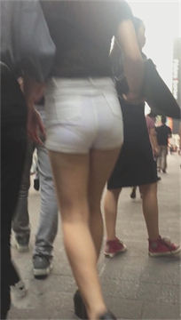编号2499