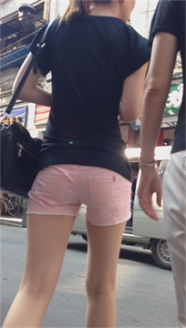 编号2611