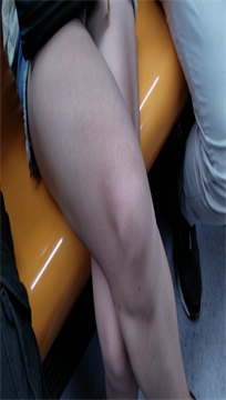 scdt_11